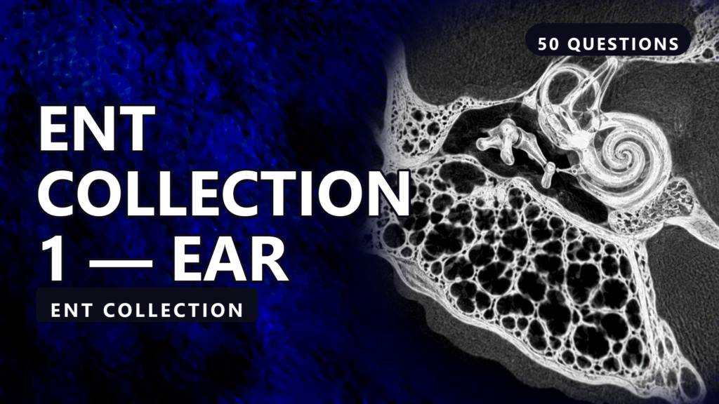 ENT Collection 1 - illustrated cases thumbnail