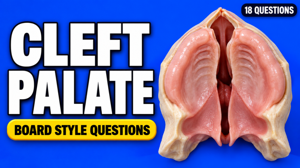 Cleft Palate and Velopharyngeal Insufficiency — Board-Style Questions