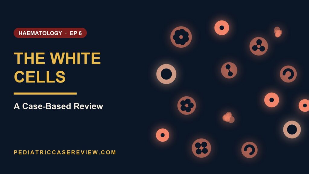 Reading the Blood Film: White Cells slide 1