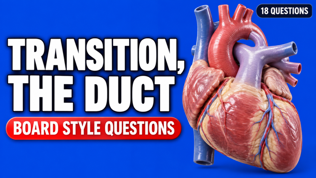 Transition, the Duct and the Cyanosed Newborn — Board-Style Questions